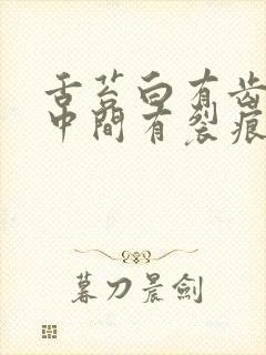 舌苔白有齿痕舌中间有裂痕