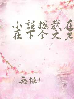 小说总裁在上我在下全文免费阅读