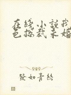 在线小说我的绝色总裁未婚妻