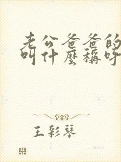 老公爸爸的哥哥叫什么称呼