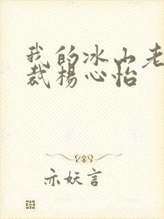 我的冰山老婆总裁杨心怡