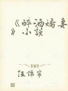 《醉酒娇妻小念》小说