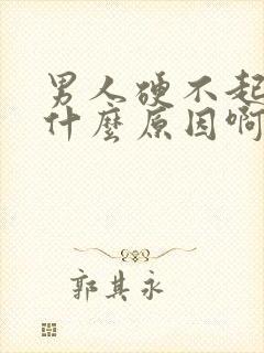 男人硬不起来是什么原因啊