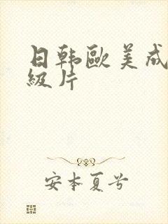 日韩欧美成人一级片