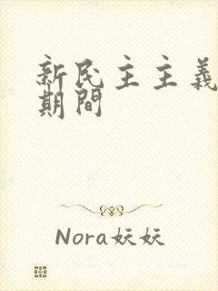 新民主主义革命期间