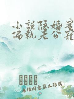 小说隐婚蜜爱:偏执老公宠上瘾在线阅读