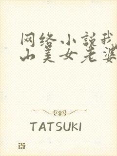 网络小说我的冰山美女老婆