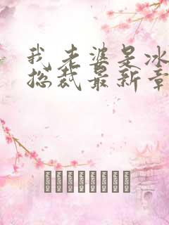 我老婆是冰山女总裁最新章节小说