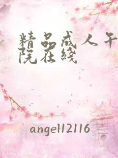 精品成人午夜影院在线