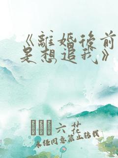 《离婚后前夫总是想追我》