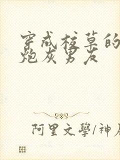 穿成校草的纯1炮灰男友