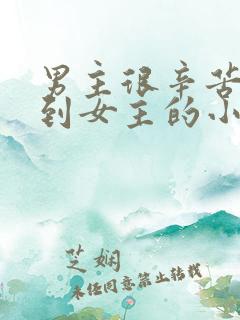 男主很辛苦才追到女主的小说