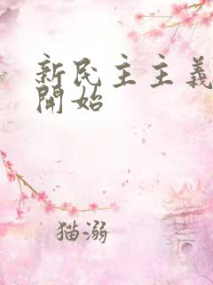 新民主主义革命开始