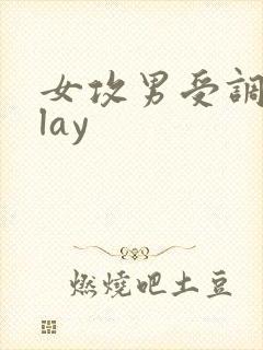 女攻男受调教play