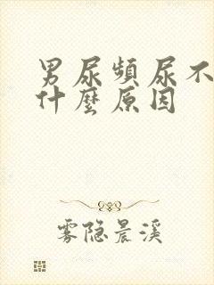 男尿频尿不尽是什么原因