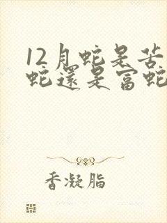 12月蛇是苦命蛇还是富蛇