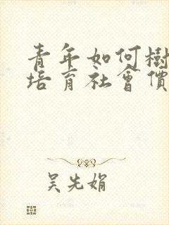 青年如何树立和培育社会价值观