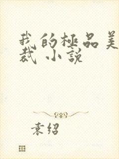 我的极品美女总裁 小说