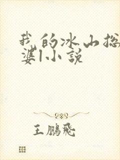 我的冰山总裁老婆l小说