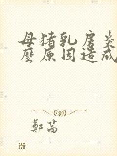 母猪乳房炎是什么原因造成的