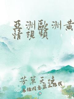 亚洲欧洲黄色激情视频