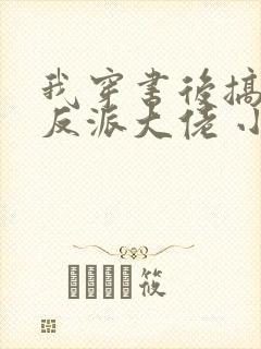 我穿书后搞到了反派大佬 小说