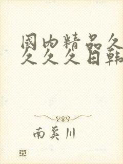 国内精品久久久久久久日韩