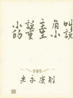 小说主角叫陈阳的重生小说