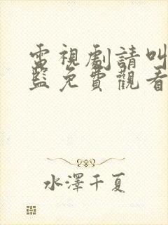 电视剧请叫我总监免费观看