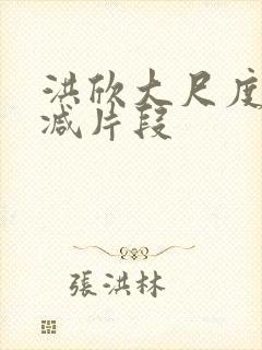 洪欣大尺度未删减片段