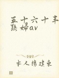 五十六十丰满老熟妇av