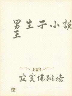 男生子小说双男主