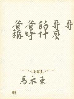 爸爸的哥哥应该称呼什么