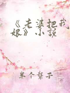 《老婆把我变伪娘》小说