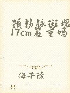 颈动脉斑块0.17cm严重吗