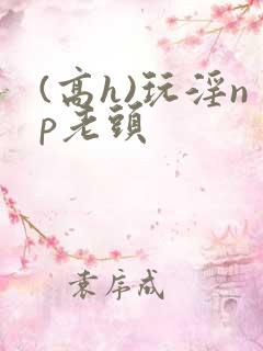 (高h)玩淫np老头