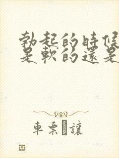 勃起的时候龟头是软的还是硬的