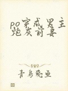 po穿成男主的炮灰前妻