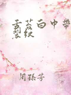 舌苔白中带黄有裂纹