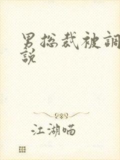 男总裁被调教小说