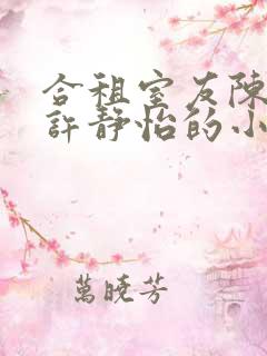 合租室友陈丰和许静怡的小说