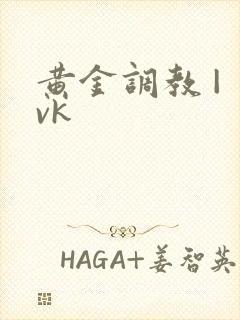 黄金调教 | vk