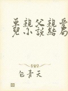 单亲父亲爱上女儿小说结局