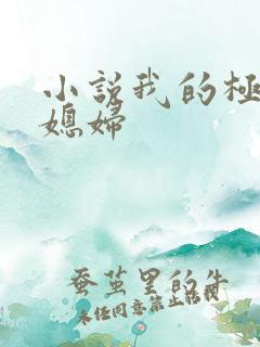 小说我的极品儿媳妇