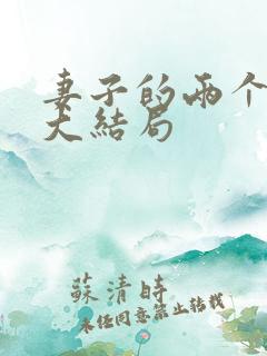 妻子的两个老公大结局