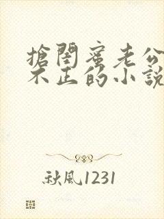 抢闺蜜老公三观不正的小说