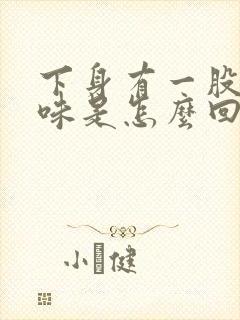 下身有一股鱼腥味是怎么回事