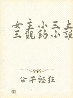 女主小三上位无三观的小说