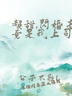 超甜,闪婚老公竟是我上司免费阅读