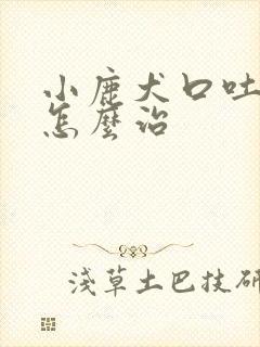 小鹿犬口吐白沫怎么治